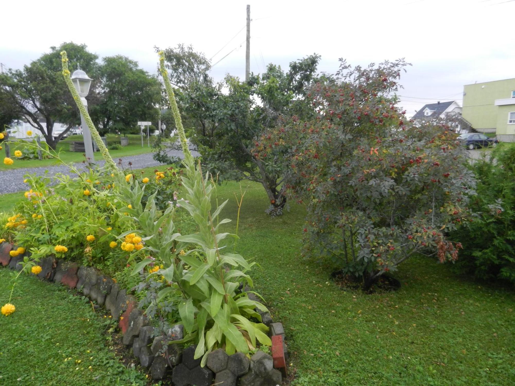 Gite La Ptite Falaise Bed&Breakfast Sainte Anne-des-Chênes Chambre photo