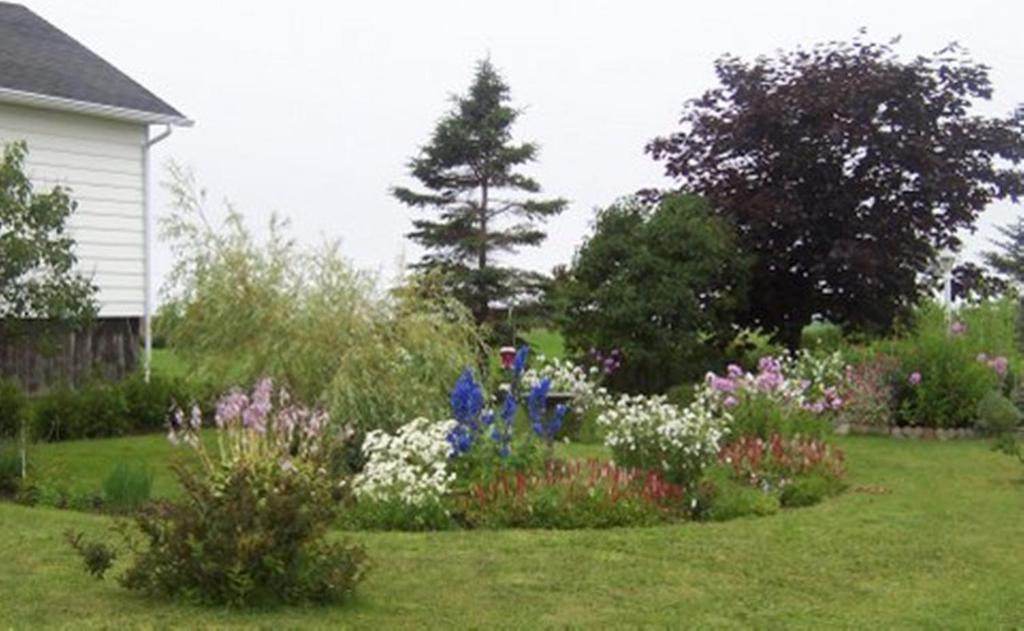 Gite La Ptite Falaise Bed&Breakfast Sainte Anne-des-Chênes Extérieur photo