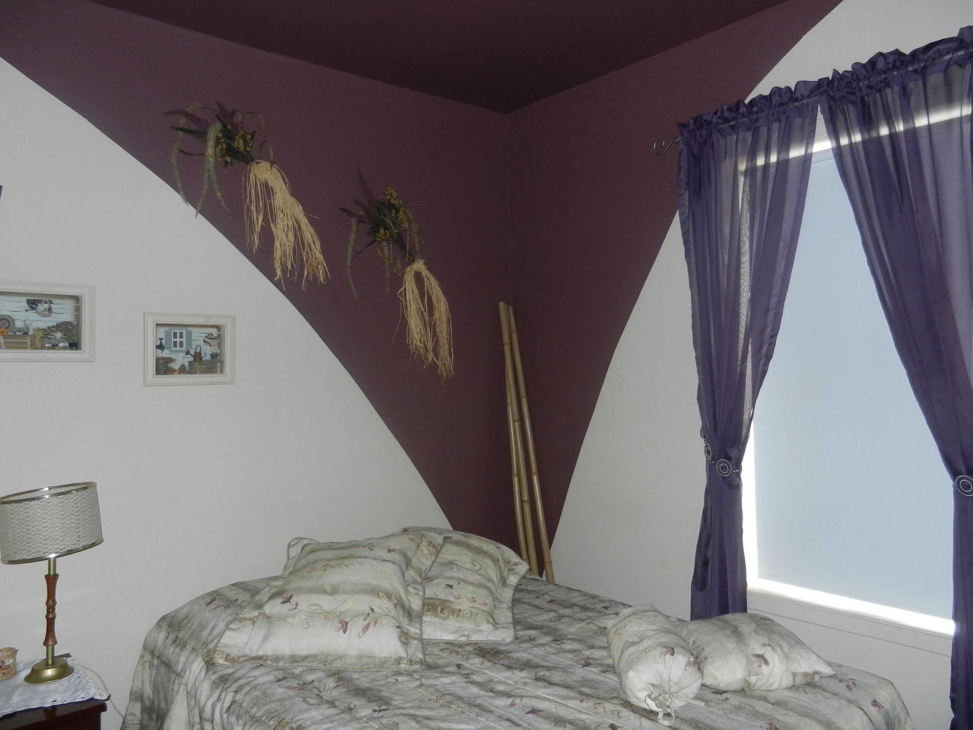 Gite La Ptite Falaise Bed&Breakfast Sainte Anne-des-Chênes Extérieur photo